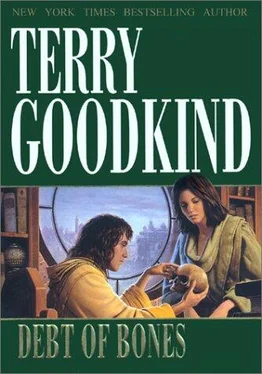 Terry Goodkind Debt of Bones обложка книги