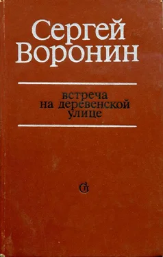 Сергей Воронин Встреча на деревенской улице обложка книги