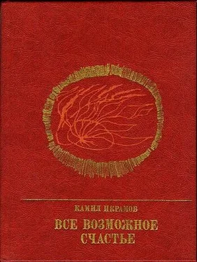 Камил Икрамов Все возможное счастье. Повесть об Амангельды Иманове обложка книги