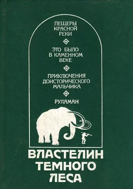 Клод Сенак Властелин Темного Леса [Историко-приключенческие повести]