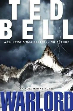 Ted Bell Warlord обложка книги