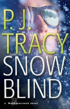 P Tracy Snow Blind обложка книги