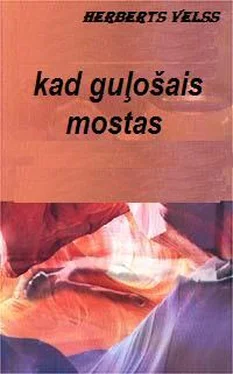 Herberts Velss Kad Gulošais mostas обложка книги