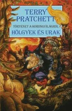 Terry Pratchett Hölgyek és urak обложка книги