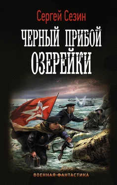 Сергей Сезин Черный прибой Озерейки обложка книги