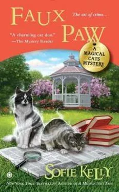 Софи Келли Faux Paw обложка книги