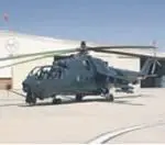 А через несколько дней после завершения выставки в Кейптауне в английском - фото 10