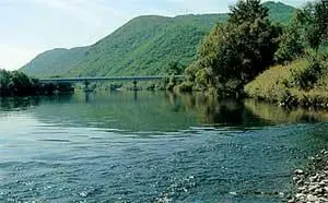 Пейзажи РаздольноХанкайской низменности Квант ул Некрасова 39 каб 9 2 - фото 71