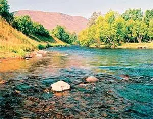 Камчатская Швейцария Быстринский природный парк Экспозиция музея в поселке - фото 168