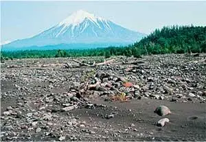 Вулкан Острый Толбачик Вид со стороны р Студеная Вулкан Плоский Толбачик - фото 172