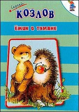 Сергей Козлов Ежик в тумане обложка книги