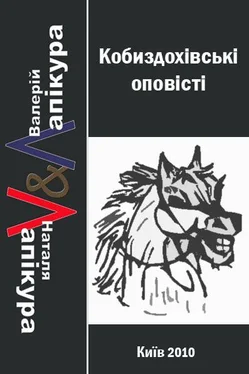 Валерій Лапікура Кобиздохівські оповісті обложка книги