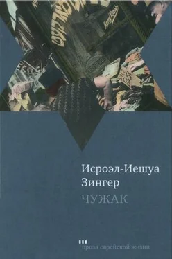 Исроэл-Иешуа Зингер Чужак обложка книги