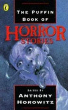 Anthony Horowitz The Puffin Book of Horror Stories обложка книги