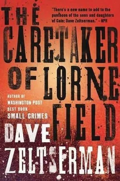 Dave Zeltserman The Caretaker of Lorne Field обложка книги