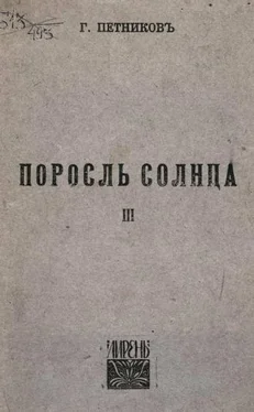 Григорий Петников Поросль солнца обложка книги