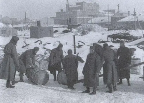 Зима 194142 г в Донбассе была очень суровой Девушки из Сталино Именно - фото 22