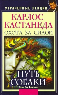 Яков Бирсави Карлос Кастанеда. Утраченные лекции. Охота за Силой. Путь Собаки обложка книги