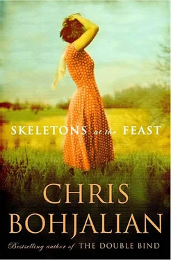 Chris Bohjalian Skeletons at the Feast обложка книги