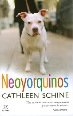 Cathleen Schine Neoyorquinos обложка книги