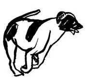 Las flores que florecen en primavera La lluvia de primavera ya era bastante - фото 12