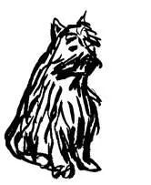 Por supuesto la había aleccionado en la responsabilidad financiera en la - фото 13