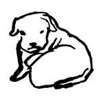 El imán de chicas Alguna vez se le había ocurrido que el ser mandón es una - фото 14