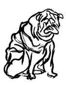 Compras flores alguna vez Fue más o menos por esa época cuando Polly - фото 16