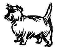 Cita a ciegas Julio dio paso a agosto entre truenos relámpagos y gotas de - фото 20