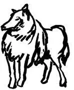 Polly decidió beber mucho y lo hizo Para cuando llegaron al club al que - фото 21