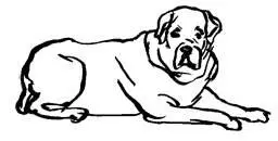 Alguien habrá que sea adecuado para ti Emily llamó a Everett desde Italia - фото 22