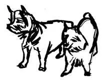 Tenemos que hablar Poco después de su encuentro con Alexandra George fue a - фото 34