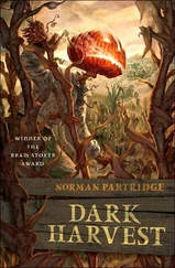 Norman Partridge - Dark Harvest