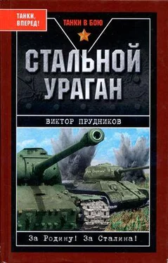 Виктор Прудников Стальной ураган обложка книги