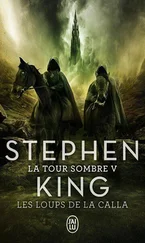 Stephen King - Les Loups de la Calla