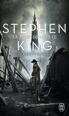 Stephen King Terres perdues обложка книги