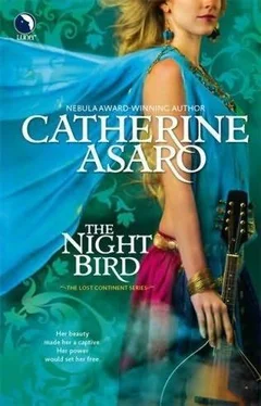 Catherine Asaro The Night Bird обложка книги