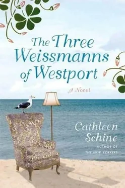 Cathleen Schine The Three Weissmanns of Westport обложка книги