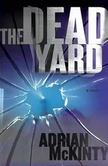 Adrian McKinty - The Dead Yard