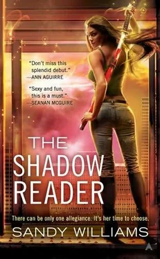 Sandy Williams The Shadow Reader обложка книги