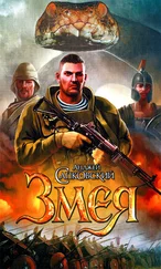 Анджей Сапковский - Змея