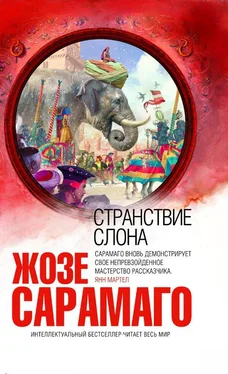 Жозе Сарамаго Странствие слона обложка книги