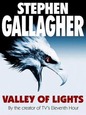 Stephen Gallagher Valley of lights обложка книги