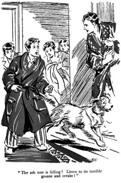 Everyone fled downstairs as with an appalling wail the great ash tree hauled - фото 2