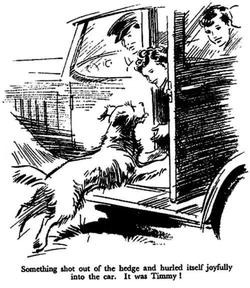 Well said the driver doubtfully I dont know if youre supposed to take - фото 4