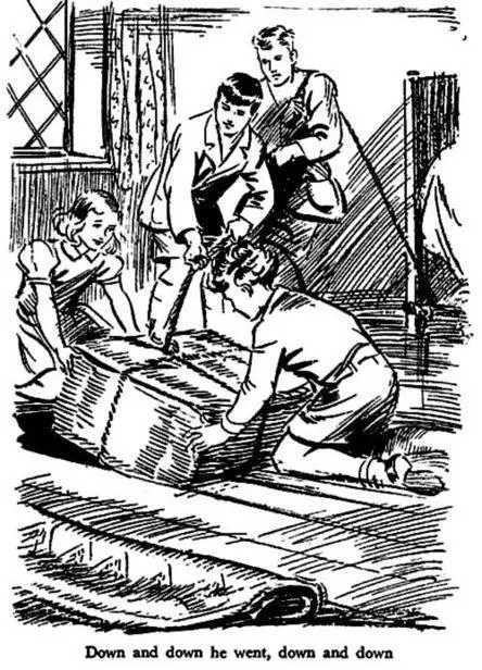 Dick and Julian had hold of the rope between them They lowered Timmy as - фото 9