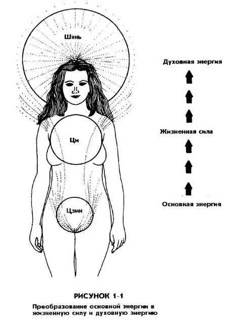 В ЭМОЦИОНАЛЬНЫЕ РАСХОДЫ Когда мы молоды и здоровы мы свободно расходуем - фото 2