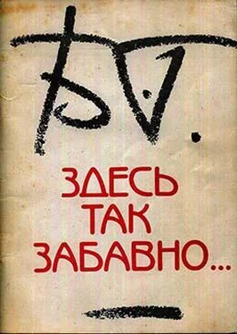 Борис Гребенщиков Здесь так забавно… обложка книги