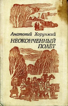 Анатолий Хорунжий Неоконченный полет обложка книги