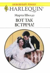 Марта Шилдз - Вот так встреча!